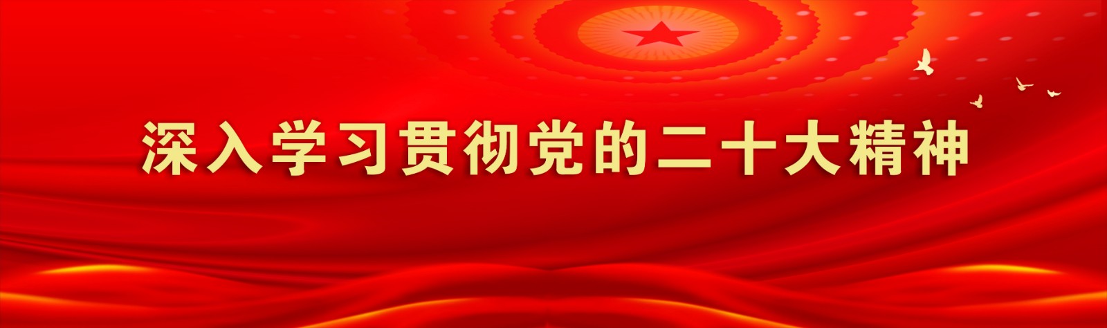 深入学习贯彻党的二十大精神